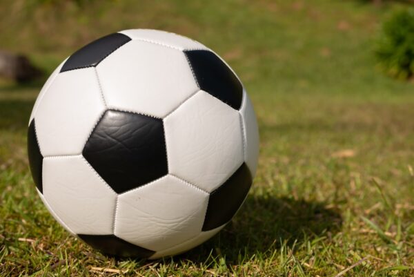 The Versatility of Pig Skin: From Footballs to Fashion